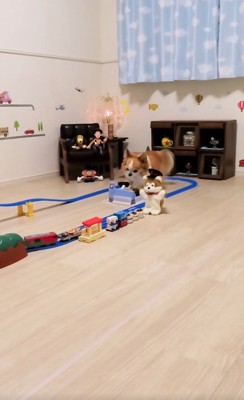 動き出す貨物列車