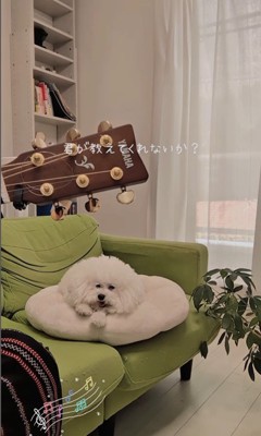 弾き語りを聴くメロンさん4