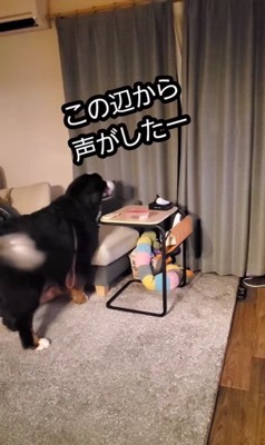 お姉ちゃんが帰省した時の眞秋くん6