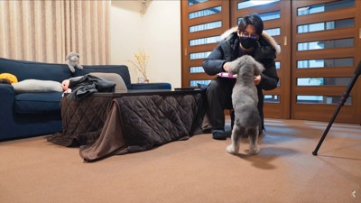 飼い主と立ちあがる犬