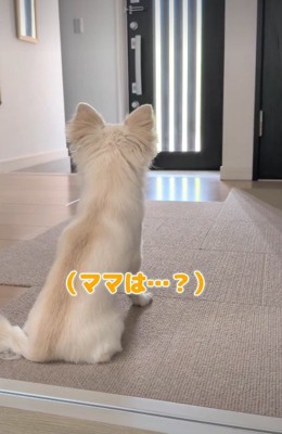 「もうすぐ帰ってくるかも」