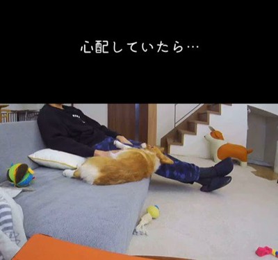 ソファから落ちたモナちゃん3