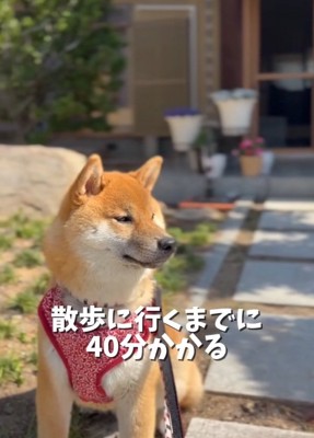 おすわりするうみくん