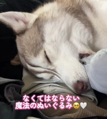 いつまでも見せてほしい…