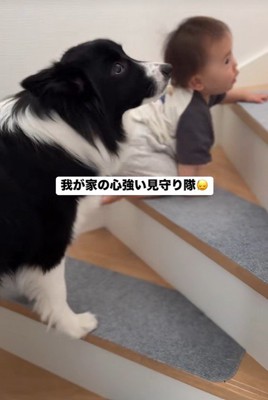 赤ちゃんを見守るヒマちゃん3