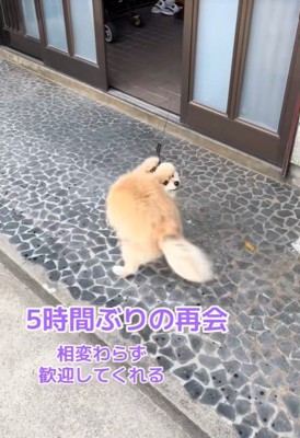くるりっ♪