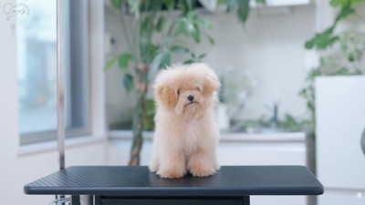 ボリュームたっぷり