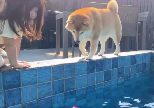 一緒に