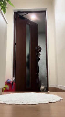 お散歩から帰ってきたら…