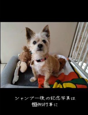 ネオくんが幸せを掴むまで7