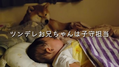 寝かしつけはこむぎちゃん