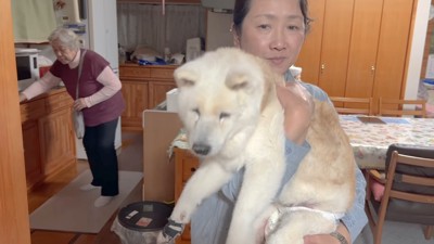 どんな姿も素敵です