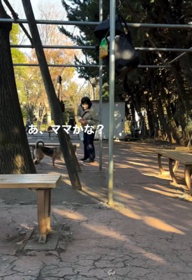 他の人に近寄るカッパちゃん