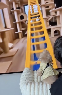 「ジェットコースターを楽しむぞ」
