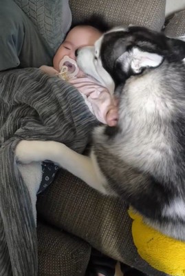 諭吉くんと赤ちゃん6