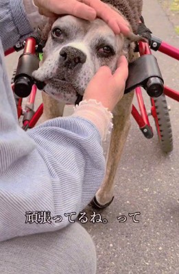 「よく頑張ってるね」