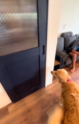 そわそわするエルちゃん