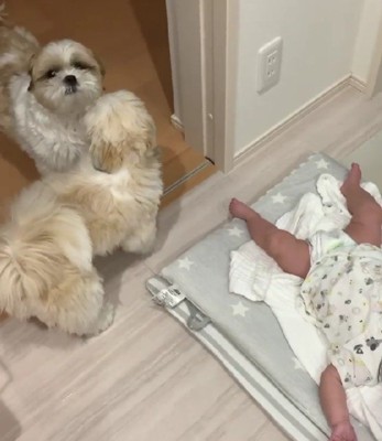 赤ちゃんに共鳴！？