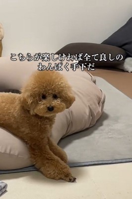 手下気質のききちゃん