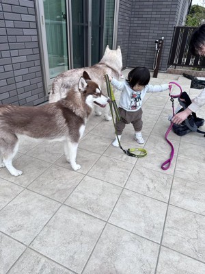 お散歩
