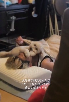 お兄ちゃんの鼻をふさぐワンコ