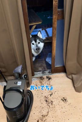 「庭においで」