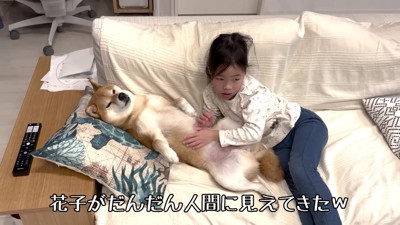 人間かな？