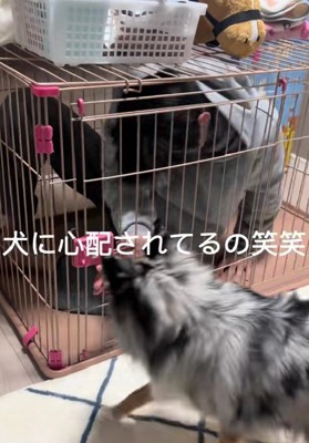 怒ってる？心配してる？