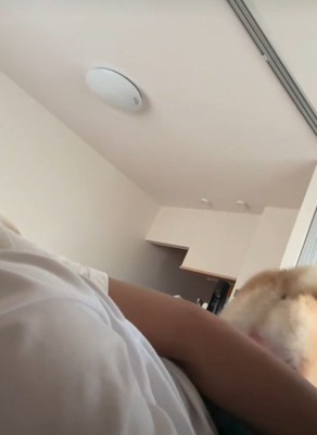 軽快に去って行った…