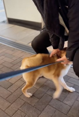 爆上がったテンション