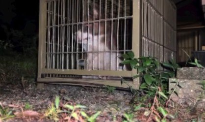ついに捕獲成功!!