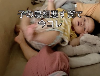 モックちゃんはどこへ…？