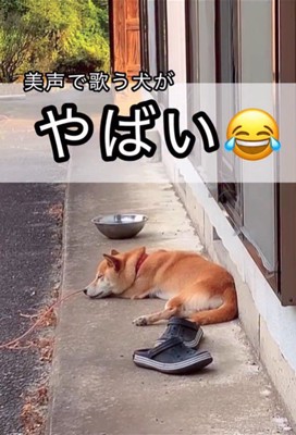 音楽に合わせて歌うコロちゃん