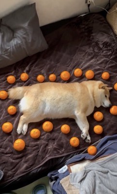 まったりとお休み中