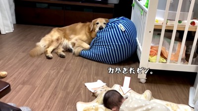 遠巻きに眺めるベンツくん…