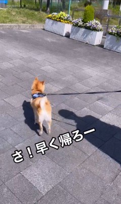 紋次郎くんとお父さんの再会9
