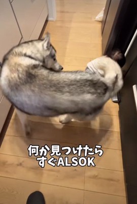 「どこ行くの？」