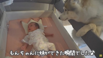 生まれたときから一緒