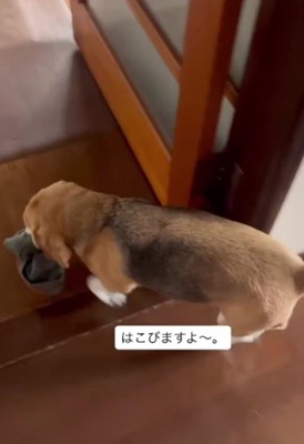 どこかへ運びます