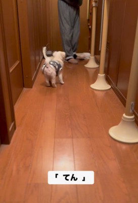 てんちゃんが訪れると…