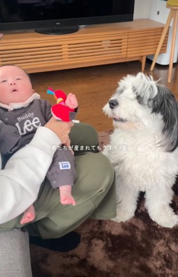 隣で見守るわんちゃん