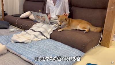 富くんの特等席