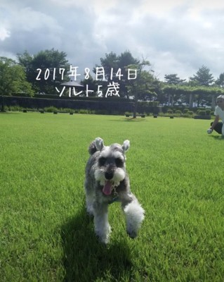 楽しそうな笑顔が全開