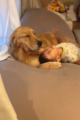 嬉しそうな弟くん