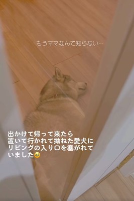 いじけるセナくん1