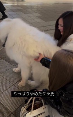 やっぱりやめた