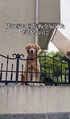 ララちゃんの熱烈歓迎2