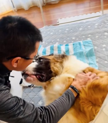 顔を近づける超大型犬