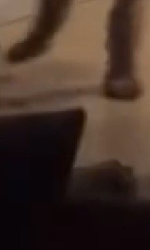 足のようなシルエット