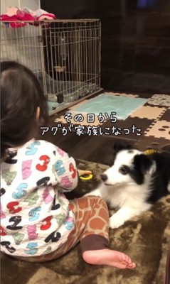 連れて帰ったら…